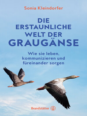 cover image of Die erstaunliche Welt der Graugänse